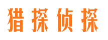 伊川市调查公司